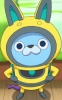 USApyon