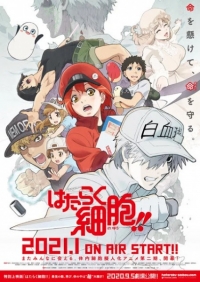 Cells at Work! 2nd Season