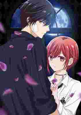 Vampire Dormitory poster