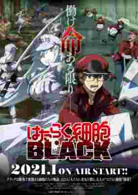 Cells at Work! Code Black (TV) poster