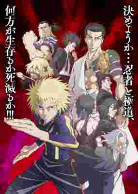 Ninja vs. Gokudo poster