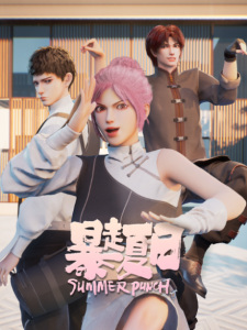 Summer Punch poster