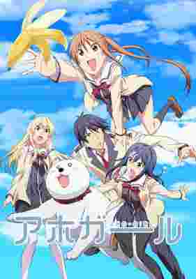 AHO-GIRL poster