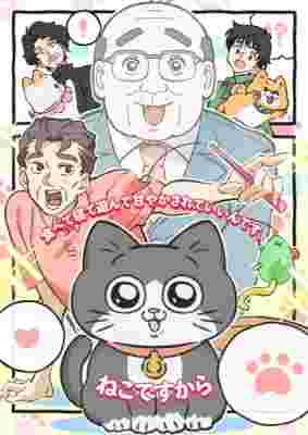 Neko ni Tensei shita Ojisan poster