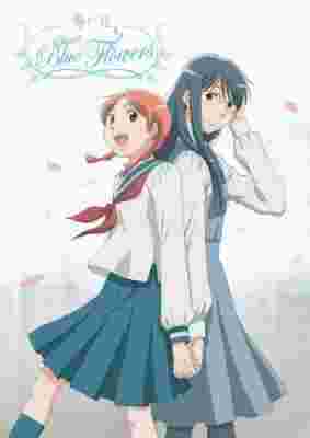 Sweet Blue Flowers poster