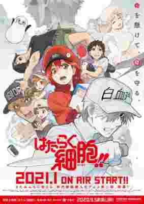 Cells at Work! 2nd Season poster
