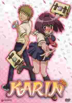 Karin poster
