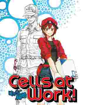 Cells at Work Special poster