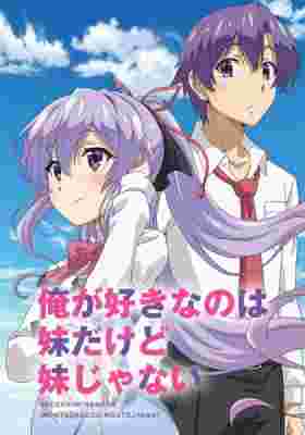 My Sister, My Writer poster