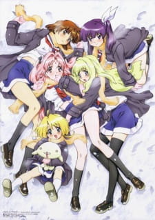 Girls Bravo poster