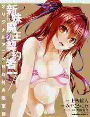 The Testament of Sister New Devil 2nd Season: Burst OVA poster