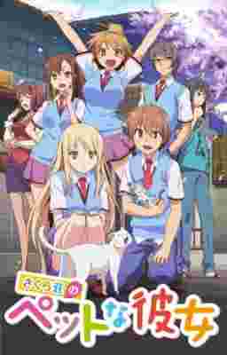 The Pet Girl of Sakurasou poster